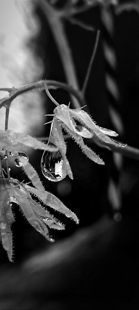 Photograph by Nаtaliia Zolotova
