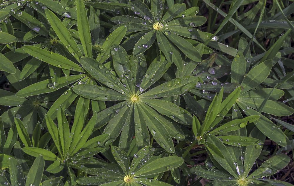 Photograph by Цветков Сергей