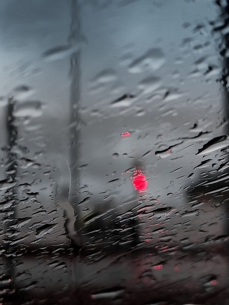 Photograph by Алия Латыйпова