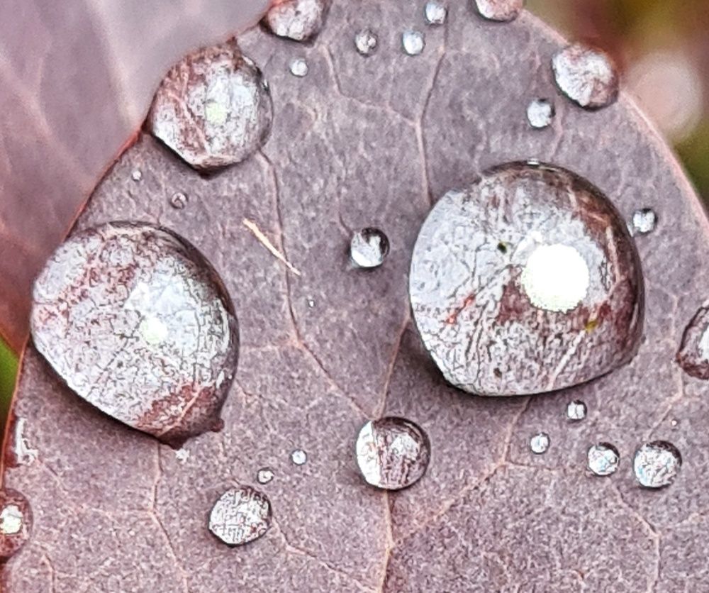 Photograph by Оксана Новикова