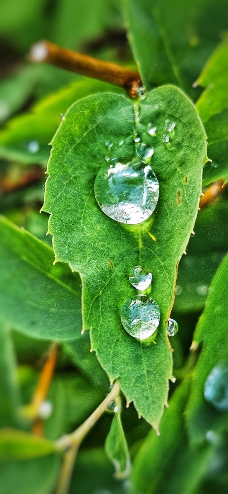 Photograph by Оксана Новикова