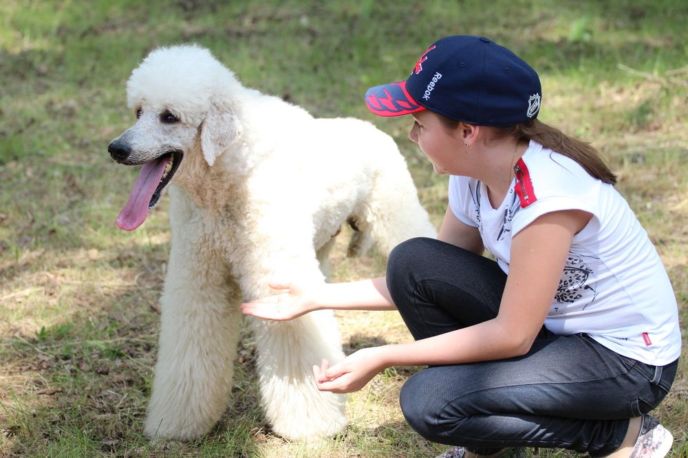 Фотография автора Колосова Елена