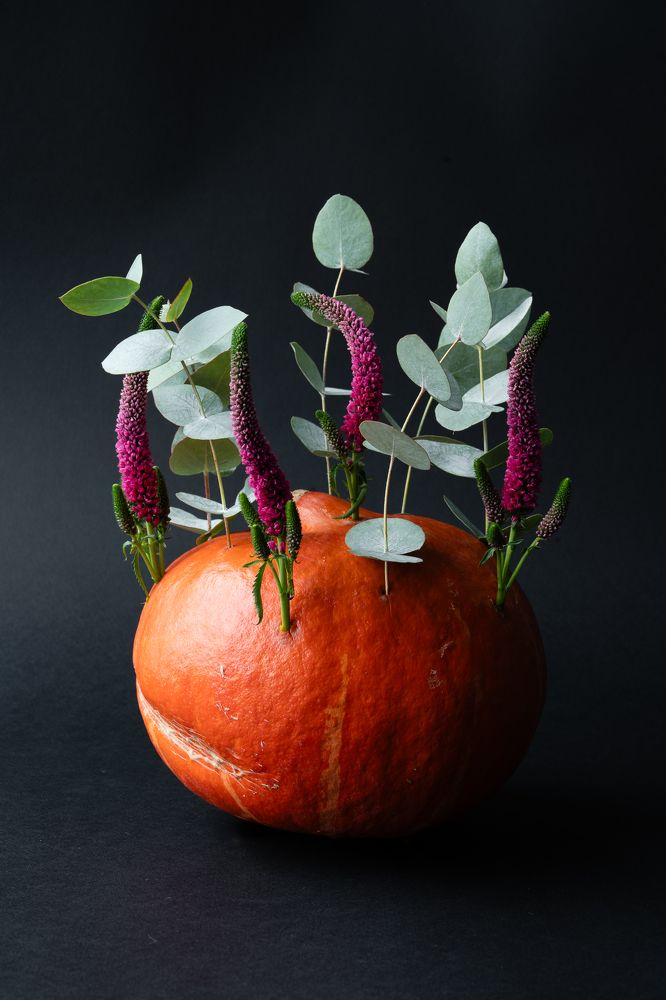 Photograph by Евгения