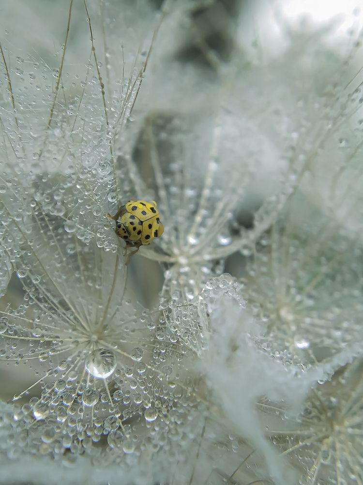 Photograph by Наталья Алексеева