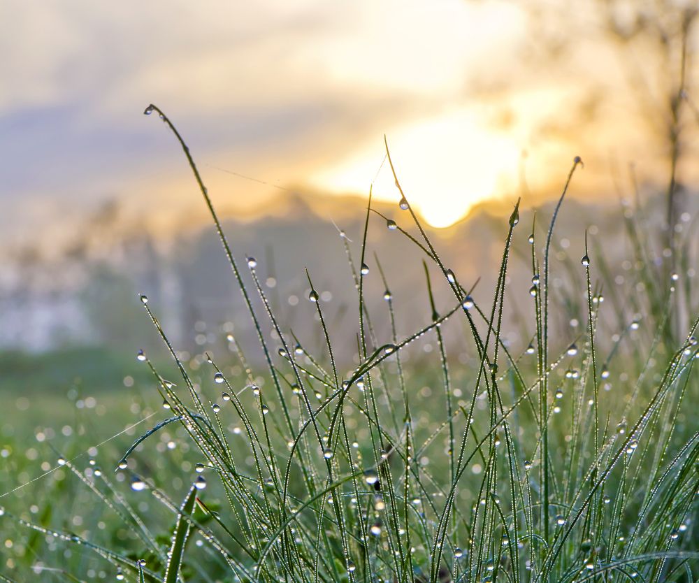 Фотография автора Кухта Мария