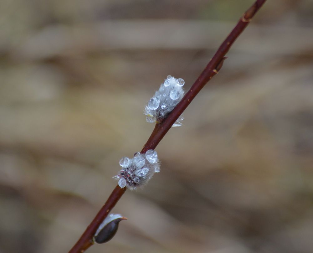 Photograph by Екатерина Казарцева