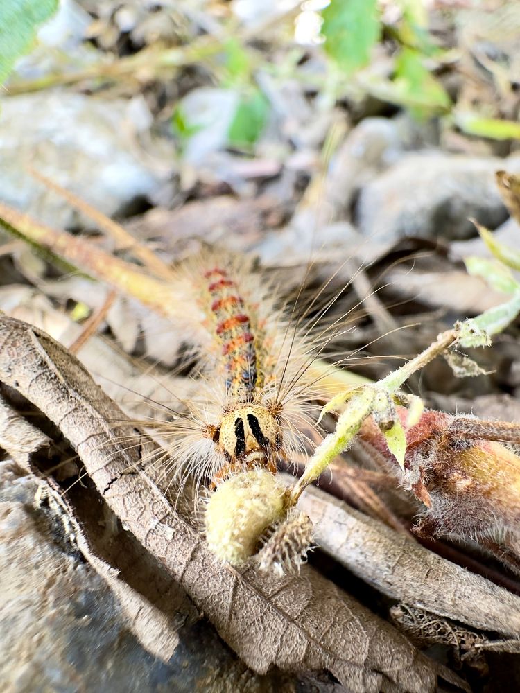 Photograph by Дина