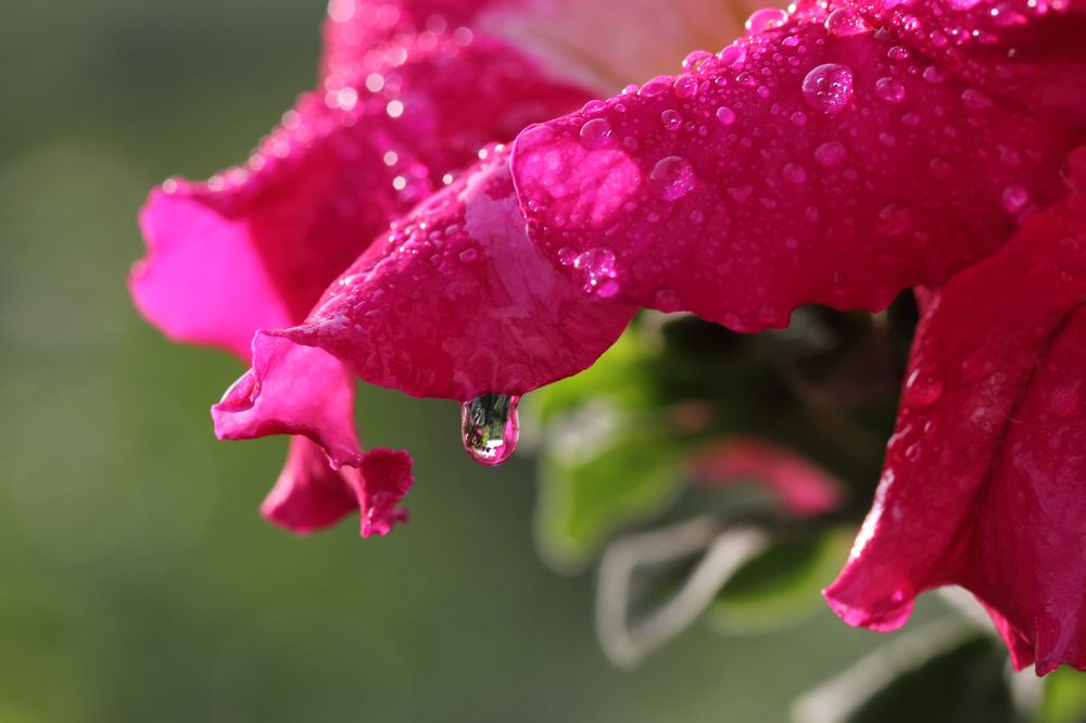 Фотография автора Кухта Мария