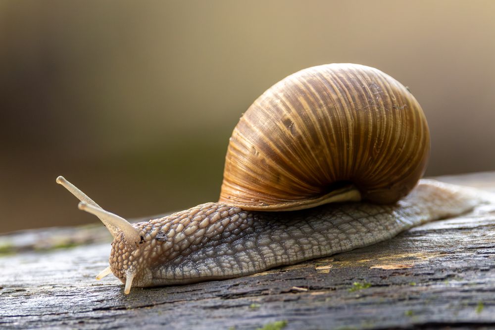 Photograph by Вера Машина