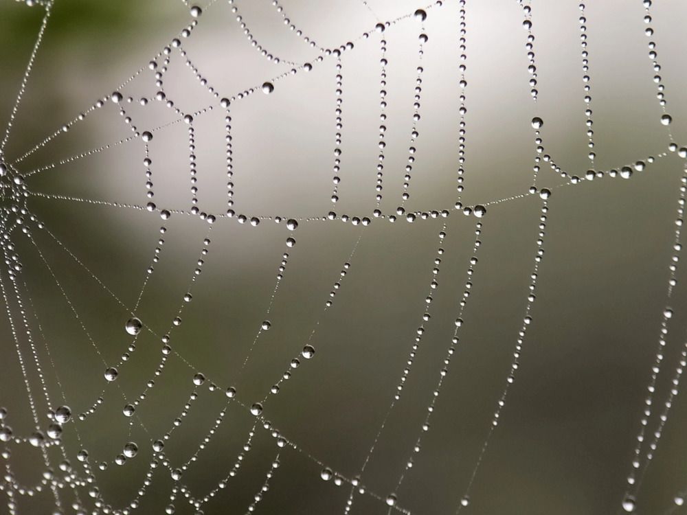 Photograph by Юлия Смирнова