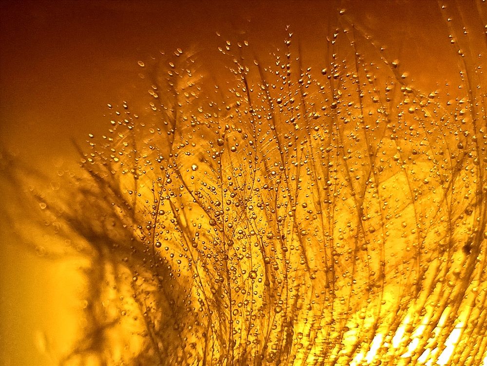 Photograph by Юлия Смирнова