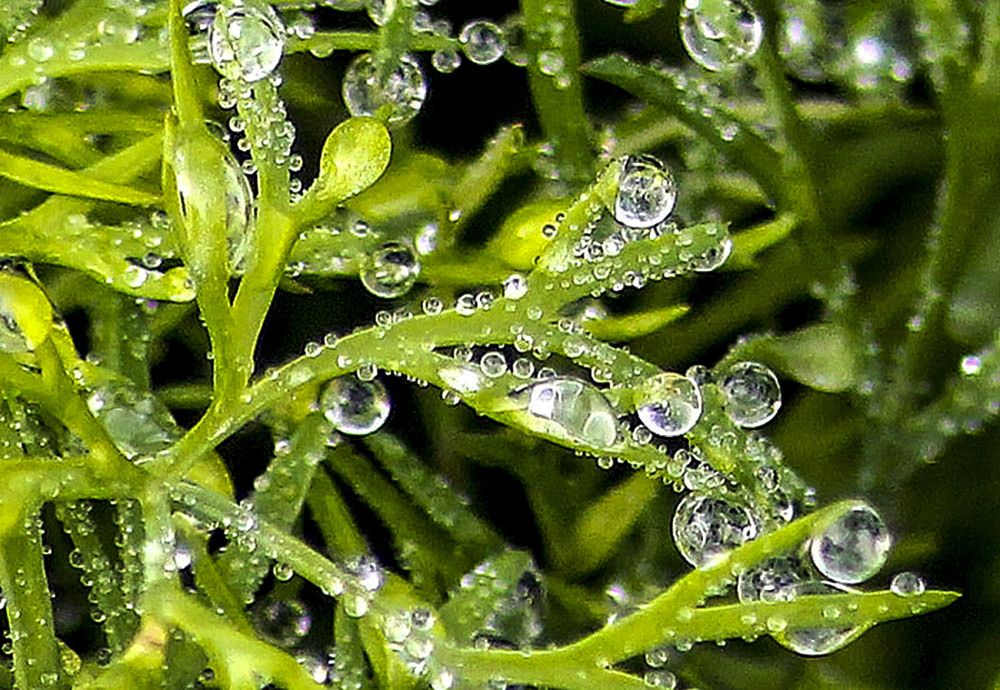 Photograph by Людмила Павловна