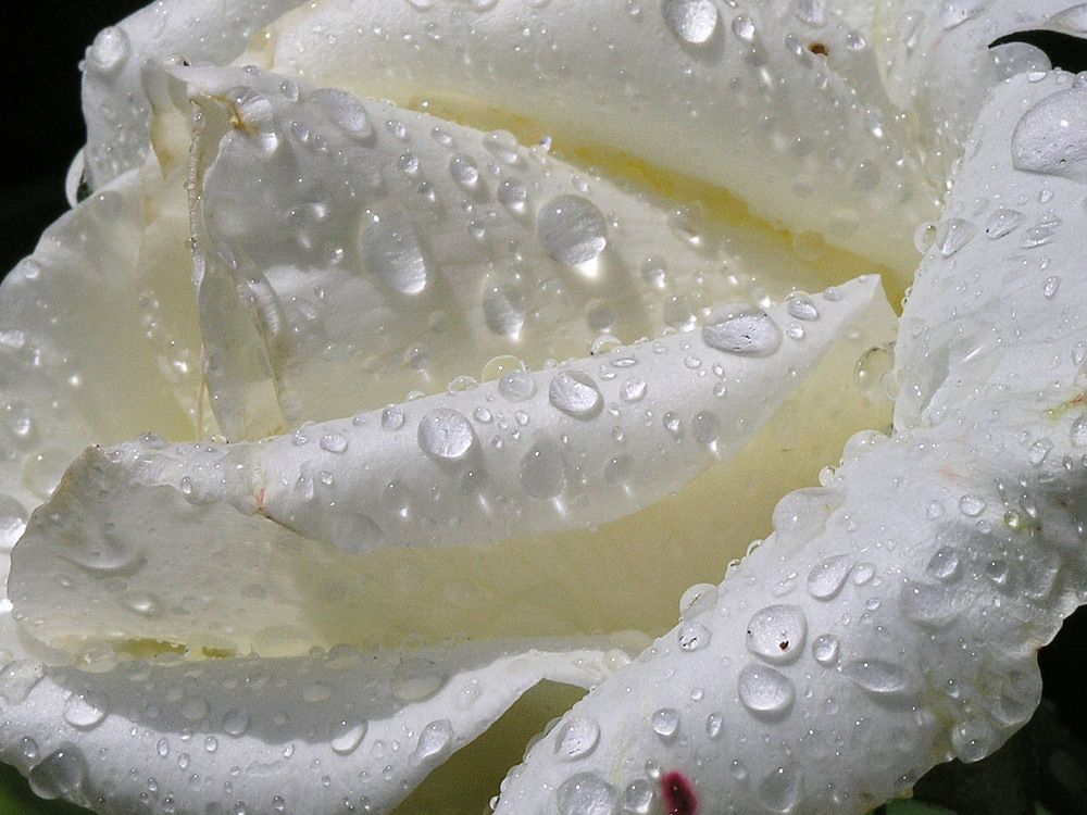 Photograph by Людмила Павловна