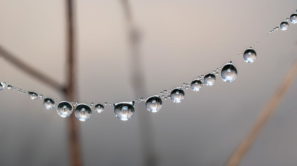 Photograph by Людмила Железнова