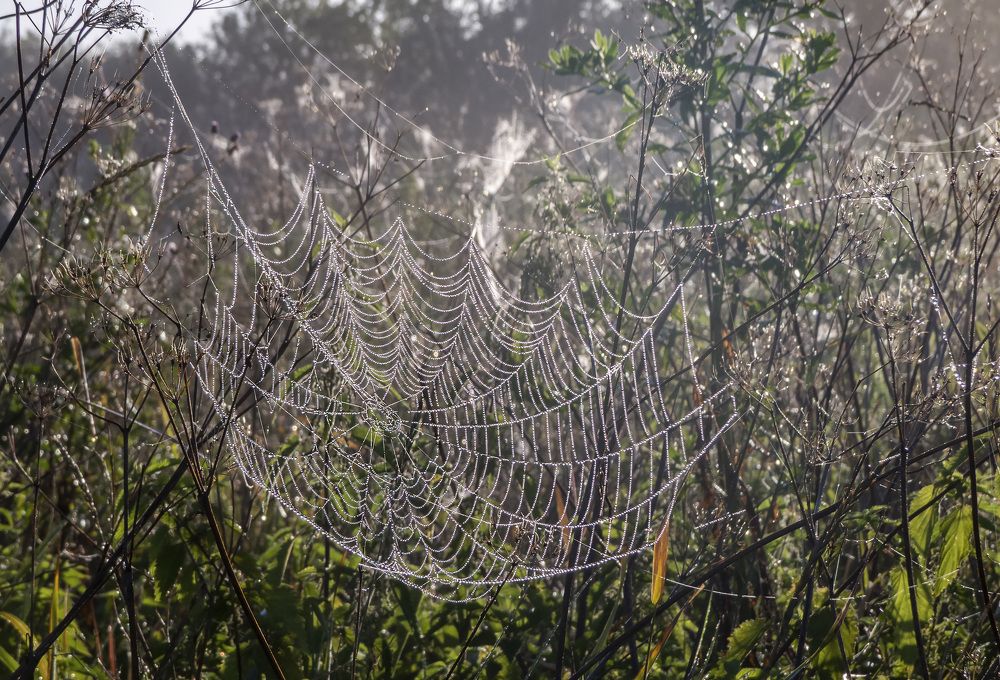 Photograph by Цветков Сергей