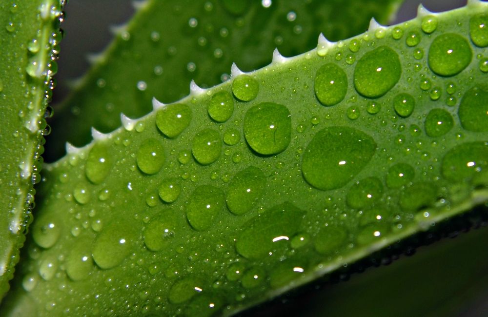 Photograph by Игорь Носков (Домненко)