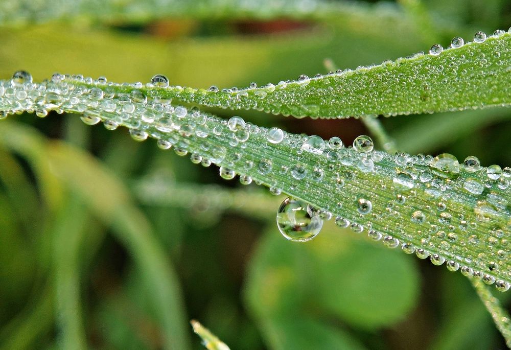 Photograph by Игорь Носков (Домненко)