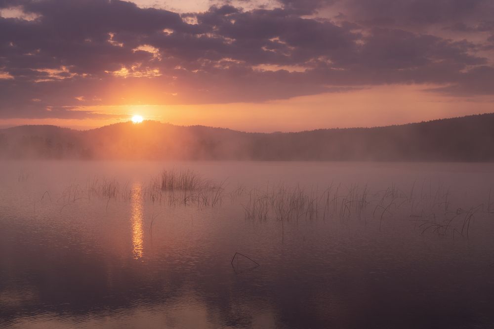 Photograph by Татьяна Бирюкова