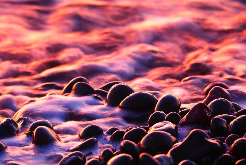 Photograph by PERESHEIN ANDREY