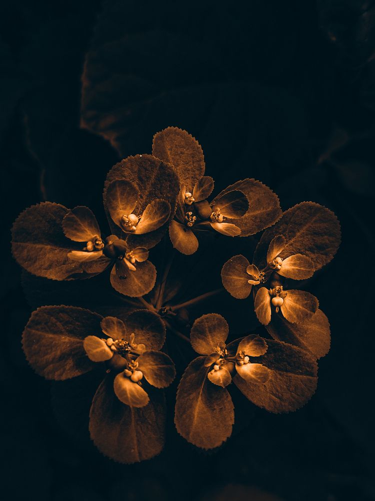 Photograph by Кристина Полякова