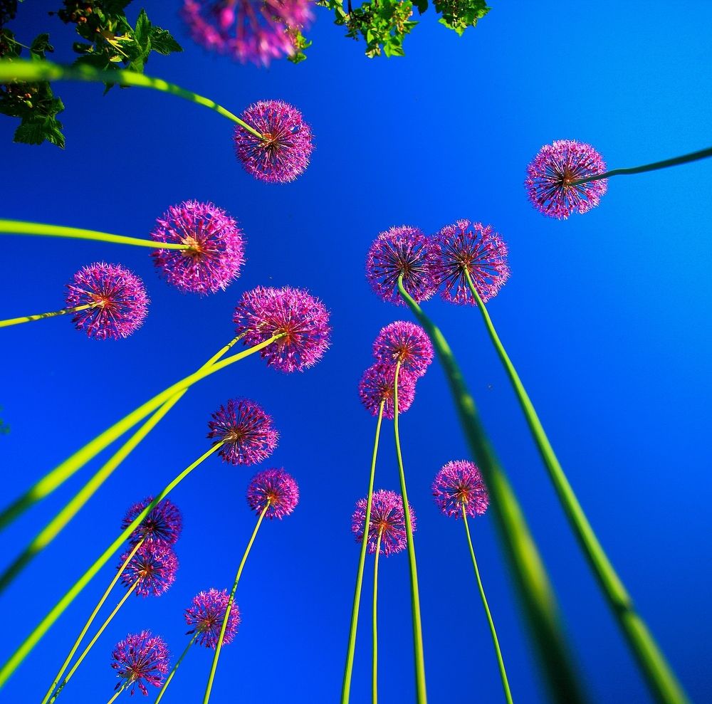 Photograph by PERESHEIN ANDREY