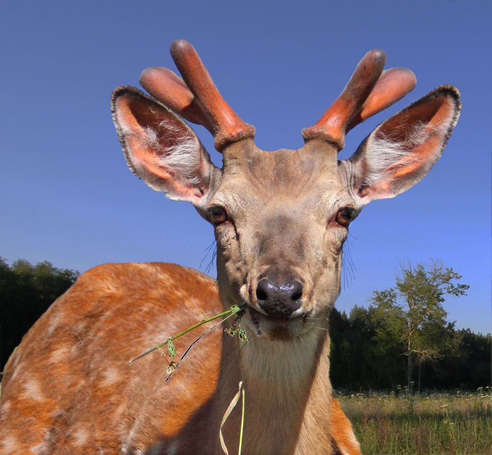 Фотография автора Кухта Мария