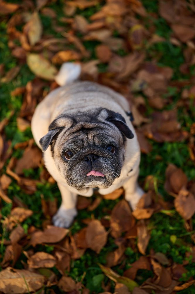 Photograph by Александр