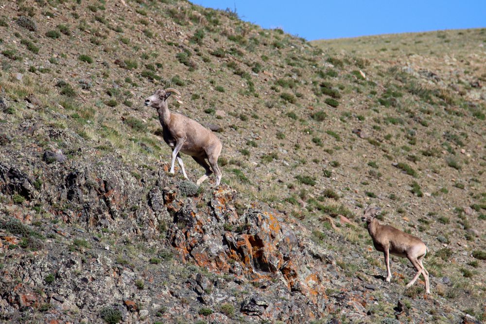 Photograph by Наталья Трифуз