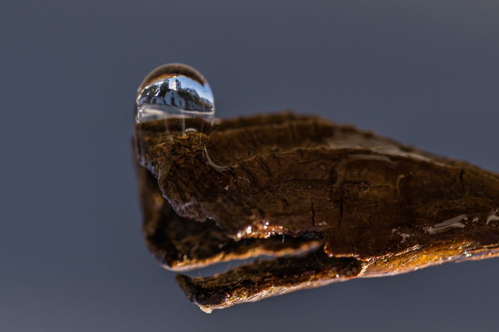 Photograph by Sandra Alvarez