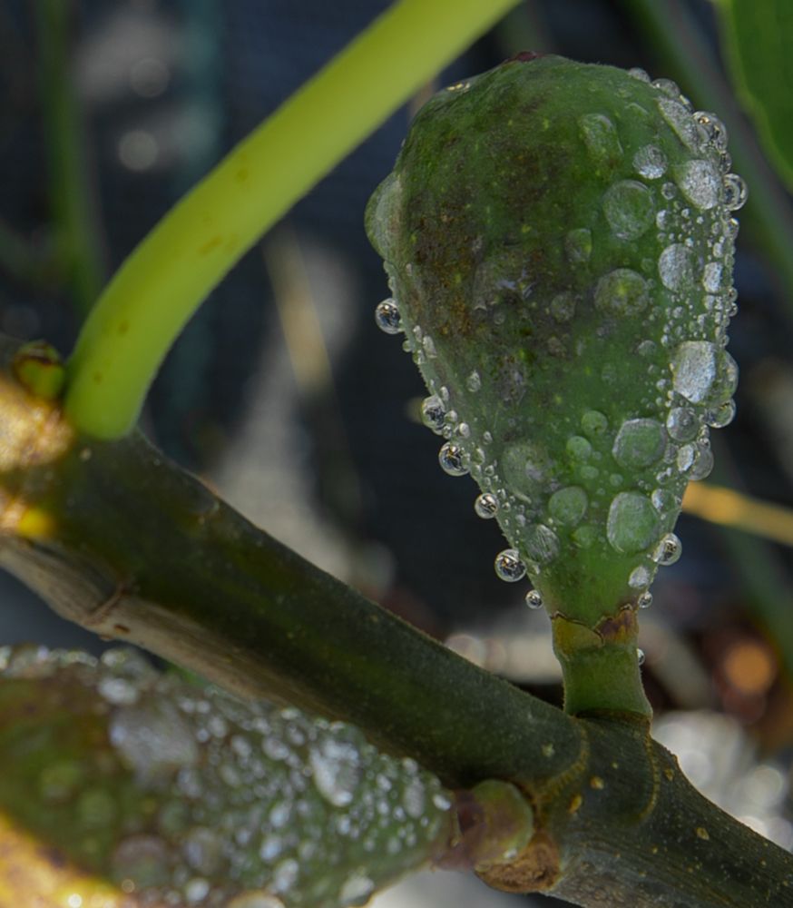 Photograph by Taтьяна Войлокова
