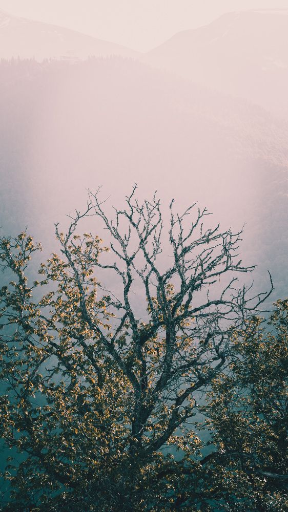 Photograph by Антон Яркин