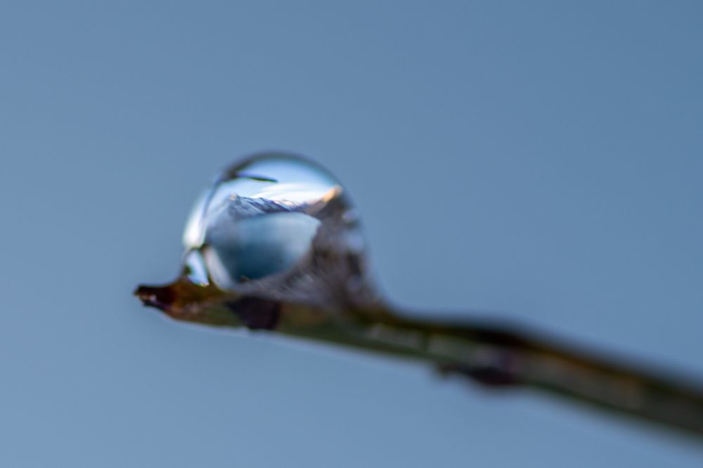 Photograph by Sandra Alvarez