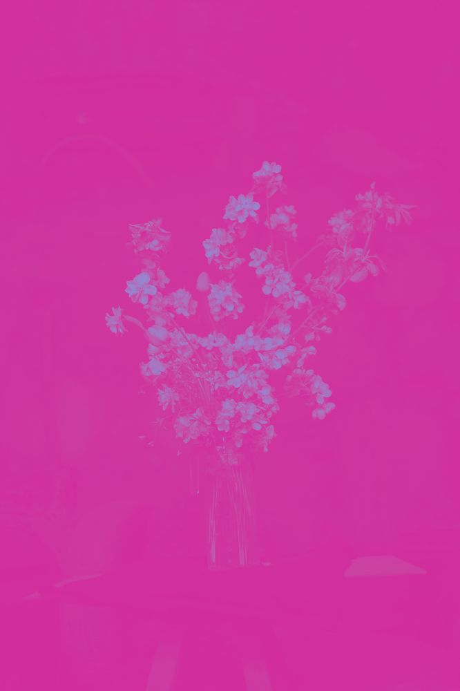 Photograph by Анжела Спиридонова