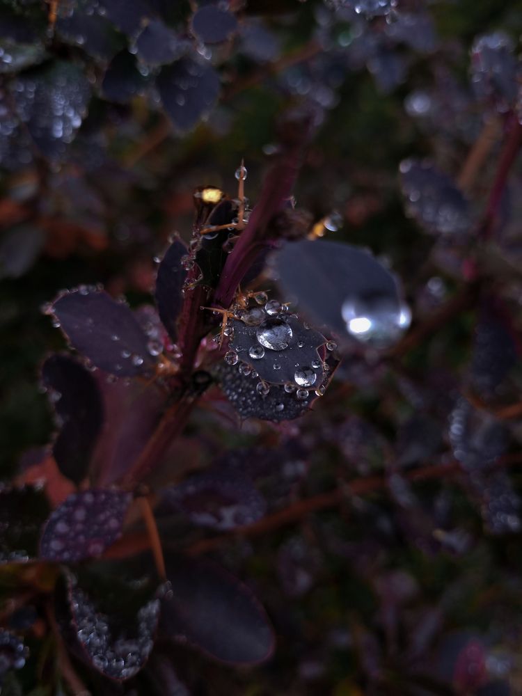 Photograph by Александра