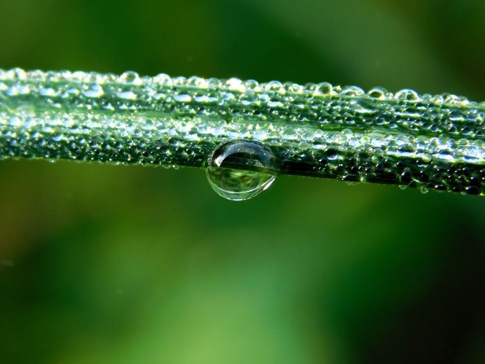 Photograph by Чкареули Светлана