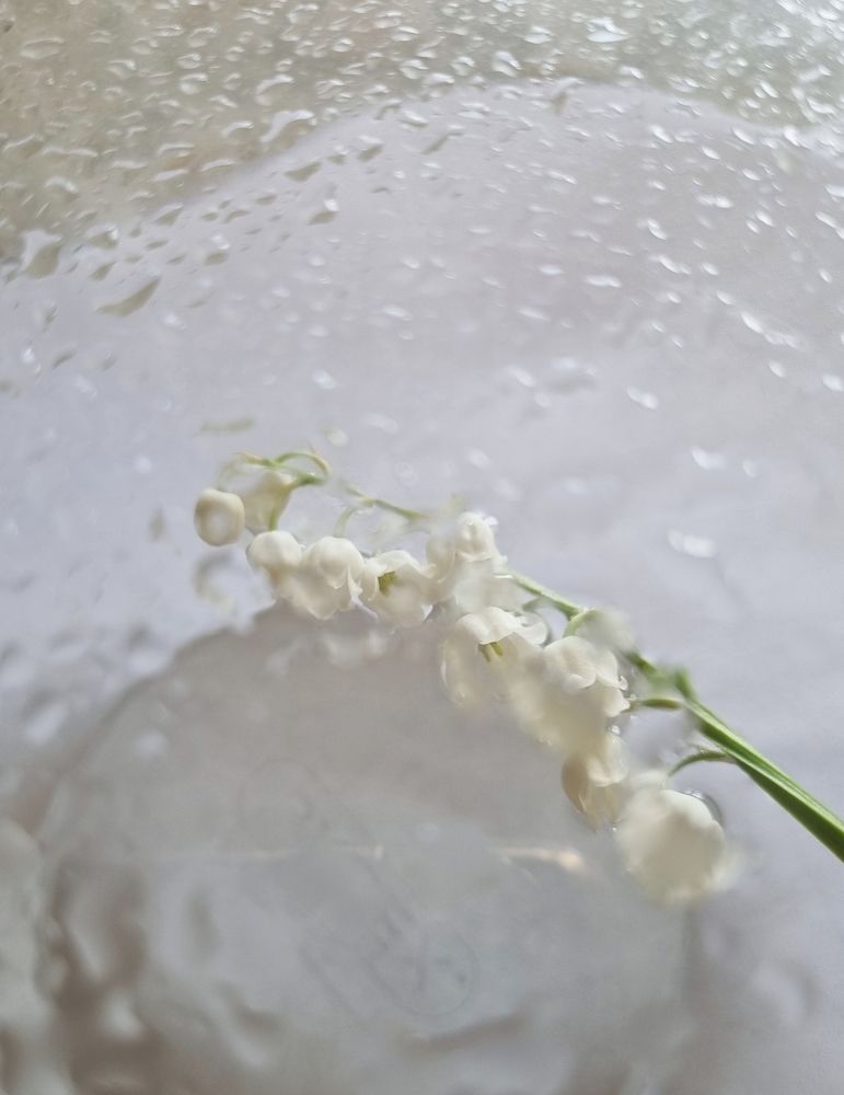 Photograph by Александра