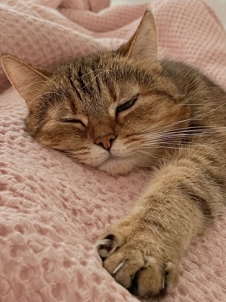 Photograph by Екатерина Павловец