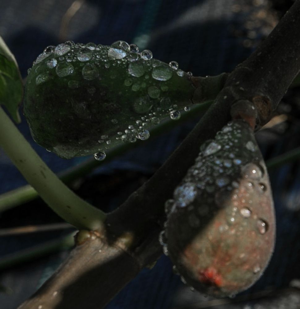 Photograph by Taтьяна Войлокова