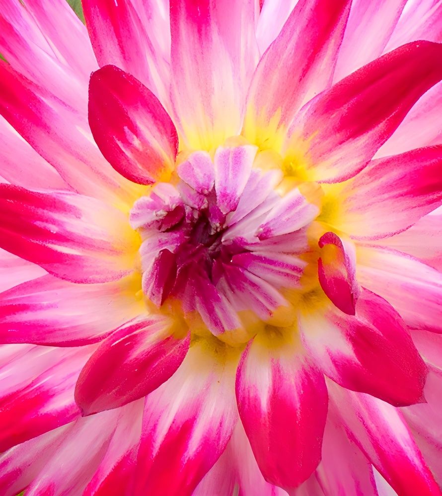 Фотография автора Michael Gault