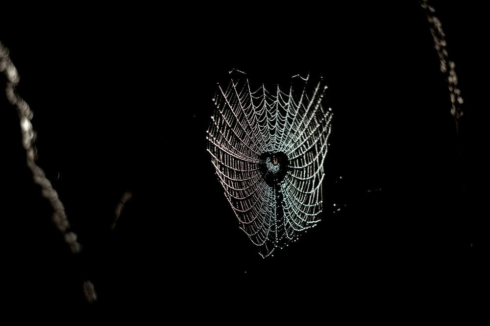 Photograph by Елена Кузьмина