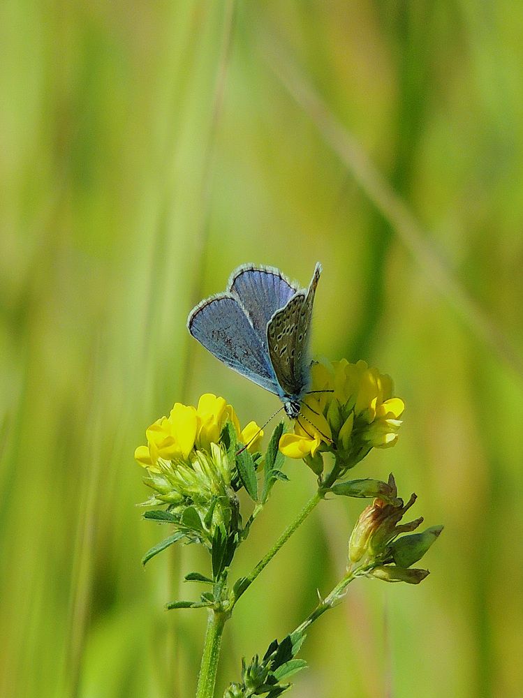 Photograph by Оксана Митяшова