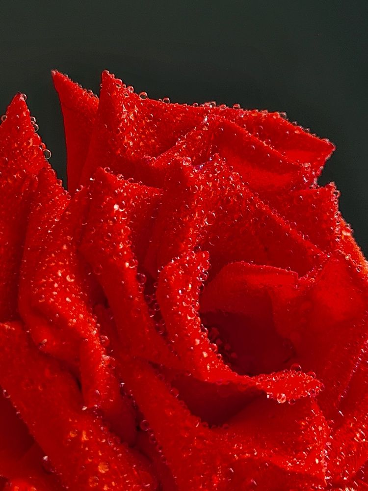 Photograph by Людмила Григорьева