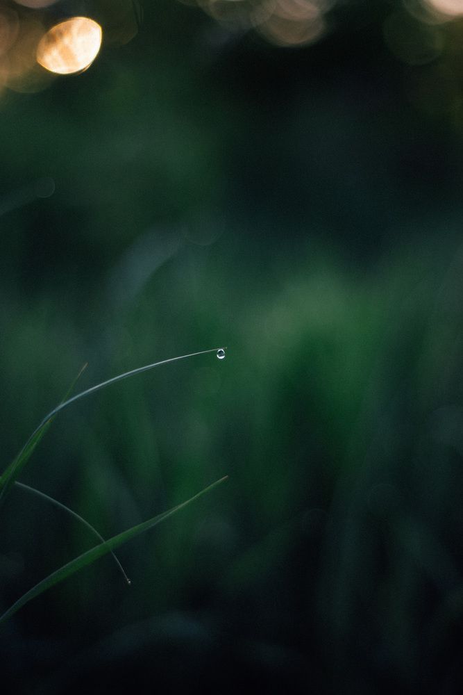 Photograph by Светлана Субботина