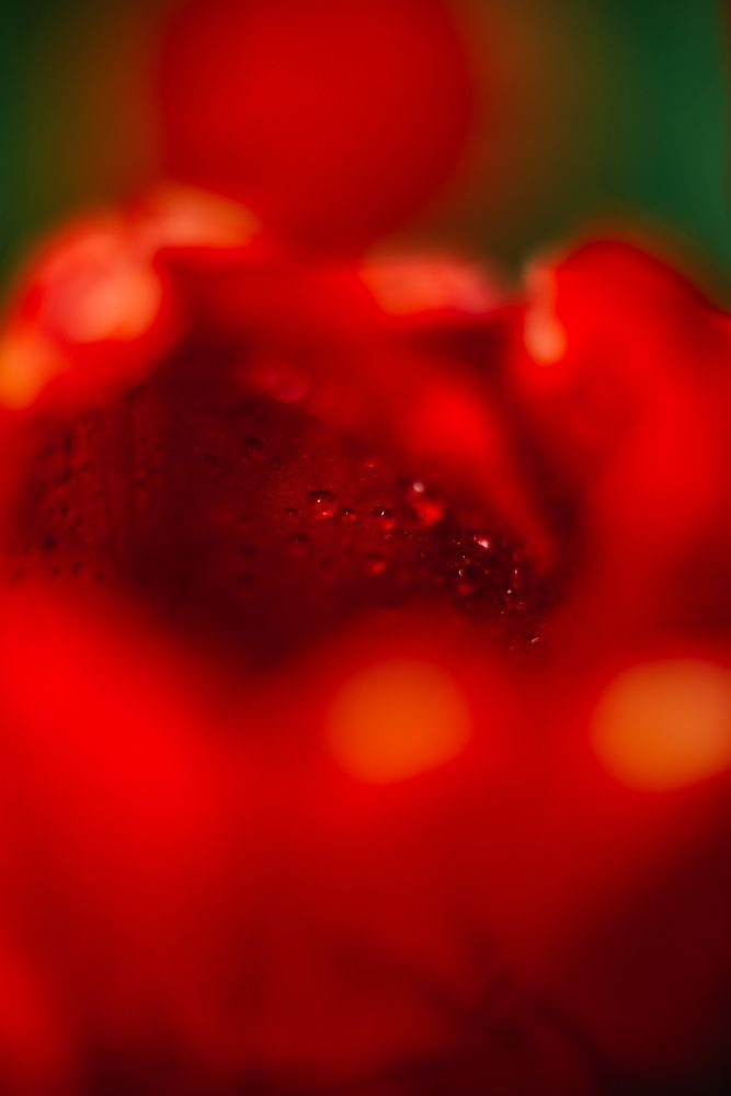 Photograph by Светлана Субботина