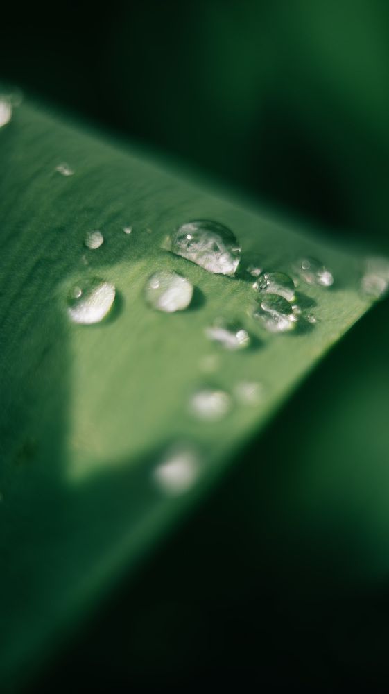 Photograph by Светлана Субботина