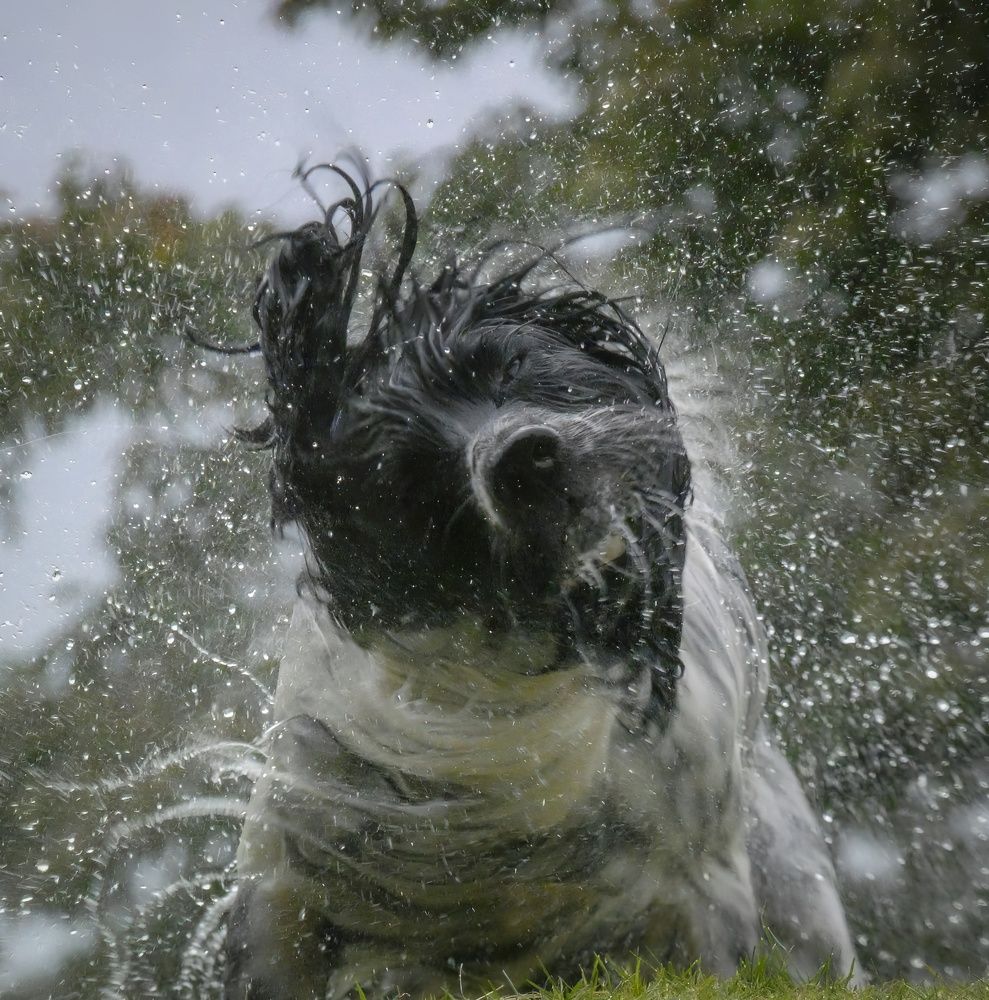 Фотография автора Michael Gault