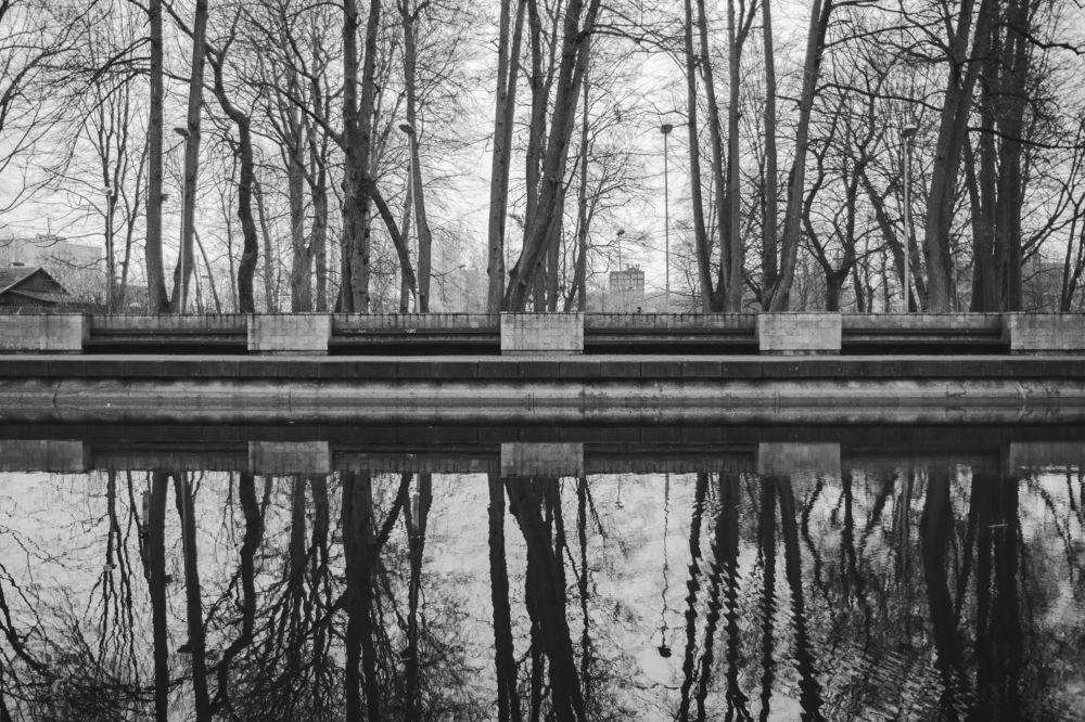 Фотография автора Александр Шмелёв