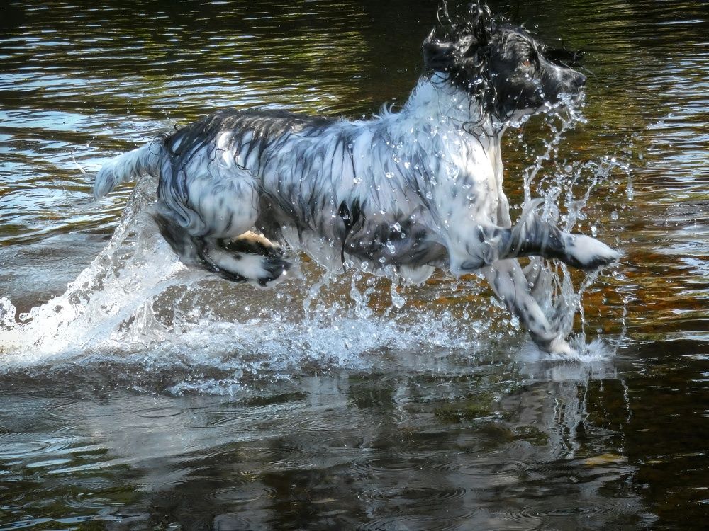 Фотография автора Michael Gault