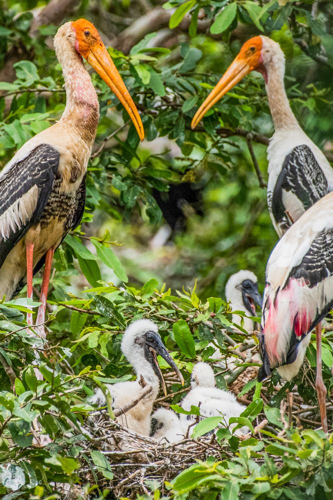 Photograph by Janakan Sritharan