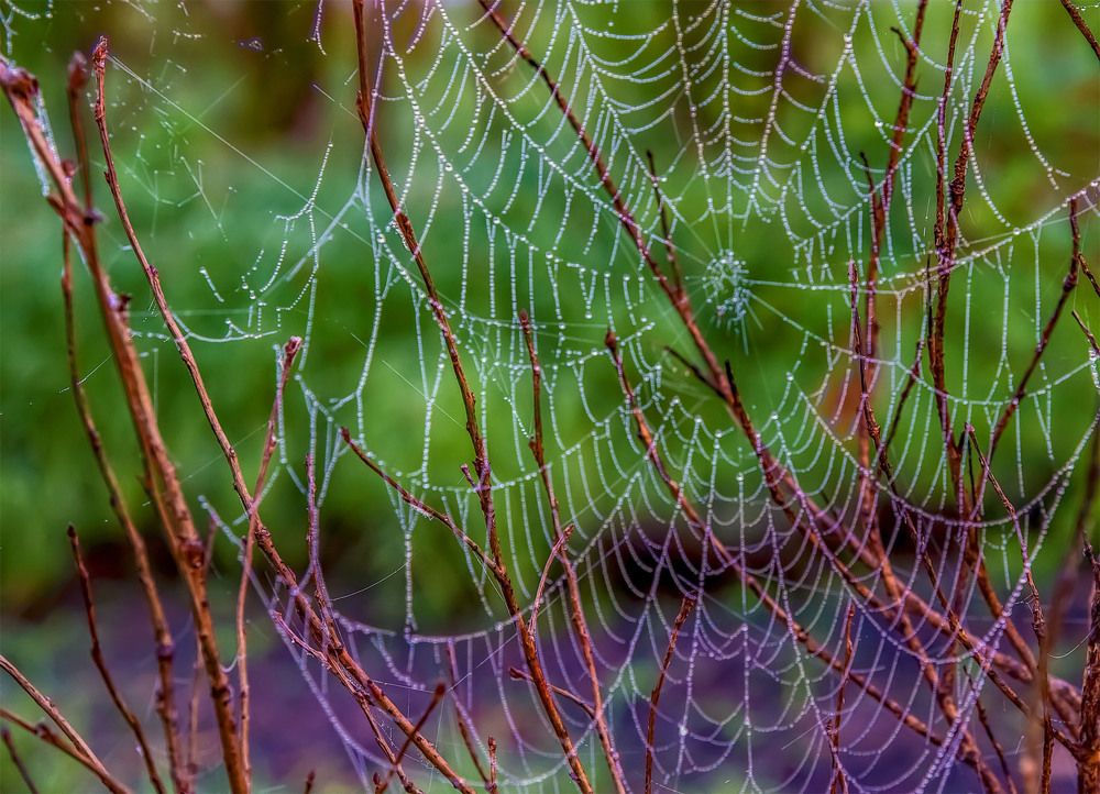 Photograph by Пушкин Сергей